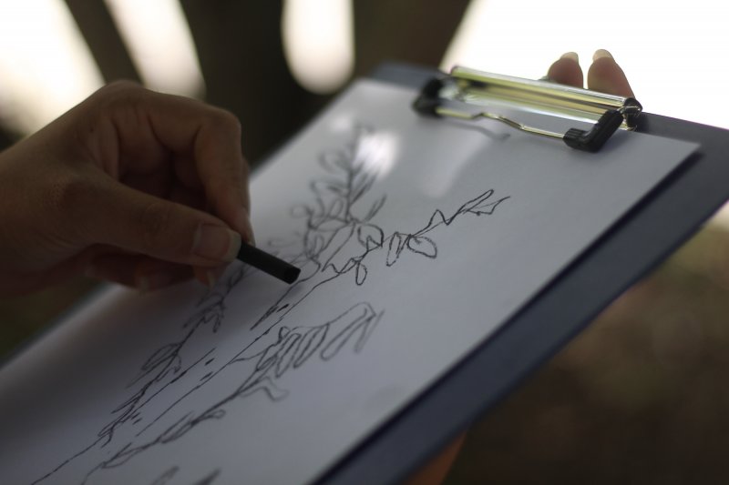 Collective Action with Zheng Bo : Drawing Weeds Practice