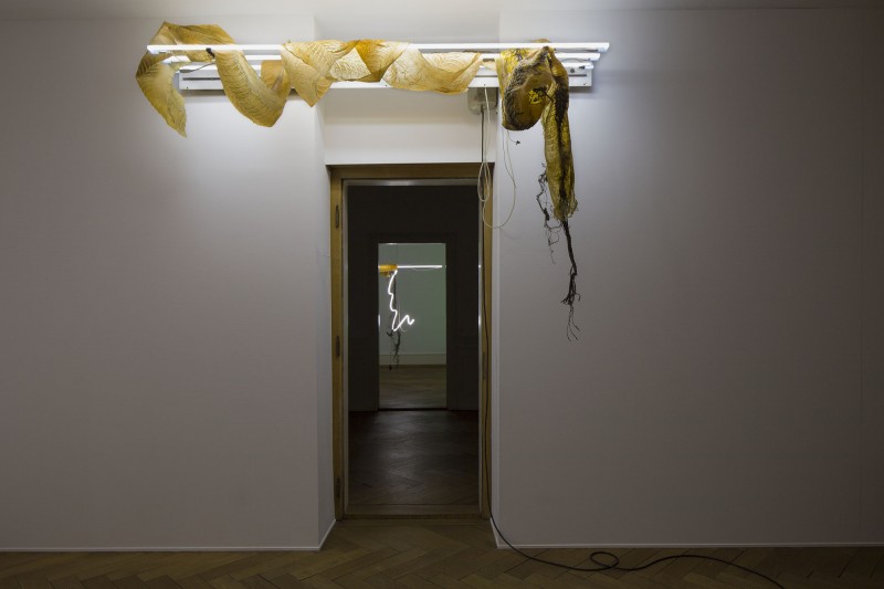 Chloé Delarue, TAFAA – NEW RARE XPENDABLE, 2019, exhibition view, Kunsthaus Langenthal