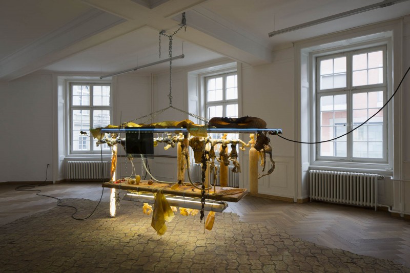 Chloé Delarue, TAFAA – NEW RARE XPENDABLE, 2019, exhibition view, Kunsthaus Langenthal