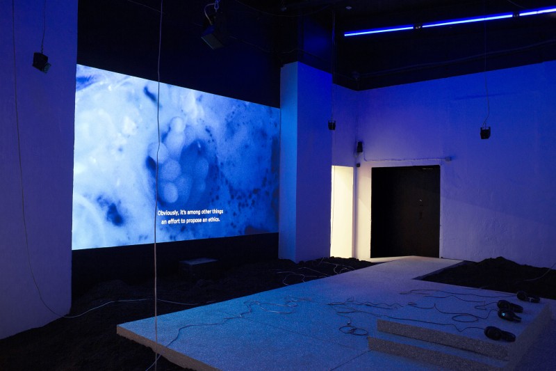 Dominique_Koch_Holobiont_Society_Installation_View