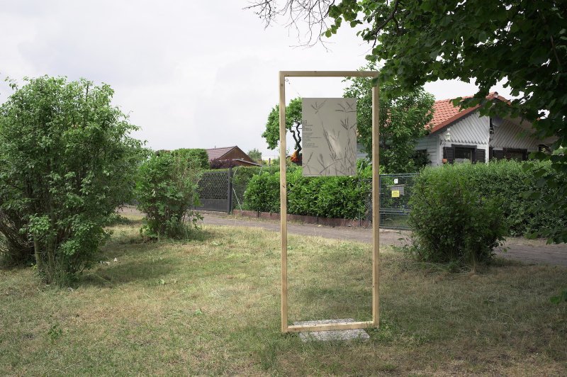 Zheng Bo, Drawing Weeds Practice, Exhibition view (re)connecting.earth at the allotment gardens of Habsburg-Gaußstraße ©Jannis Chavakis
