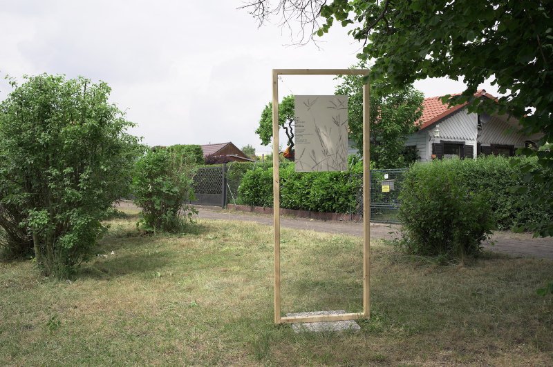 Zheng Bo, Drawing Weeds Practice, Vue de l'exposition (re)connecting.earth aux jardins familiaux associatifs de Habsburg-Gaußstraße ©Jannis Chavakis