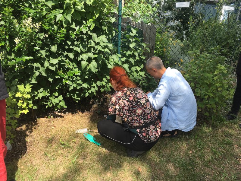 Les dessins ont été enterrés aux abords des jardins familiaux, photo de Xu Zhang