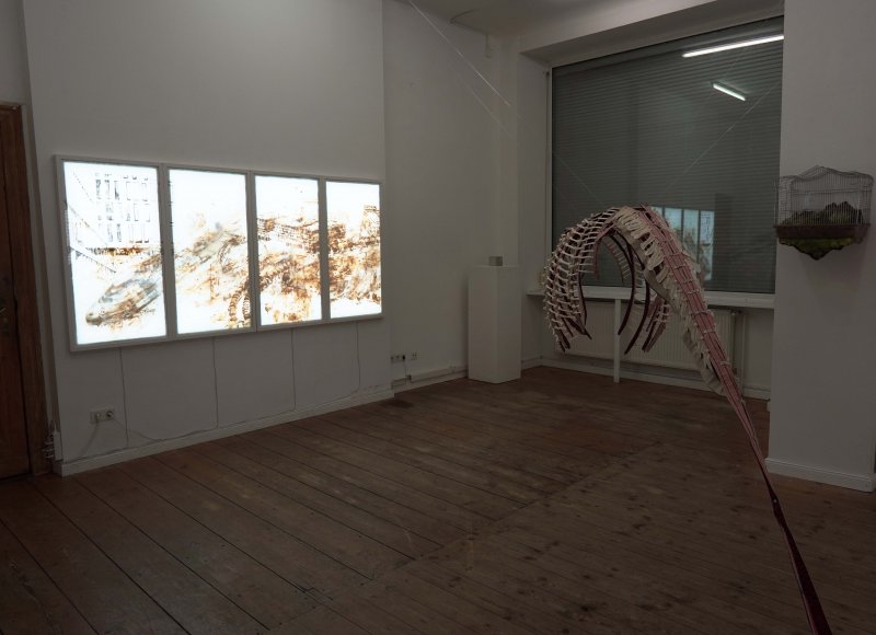 Leviathan: A Capitalocene Beastiarium, 2021, group exhibition view, 2021, TOP Transdisciplinary Project Space. (Artists in the view: Glauer, Whelan, Wenzel, Admoni)