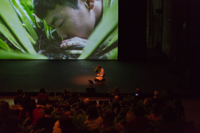 Zheng Bo, Plant sex workshop