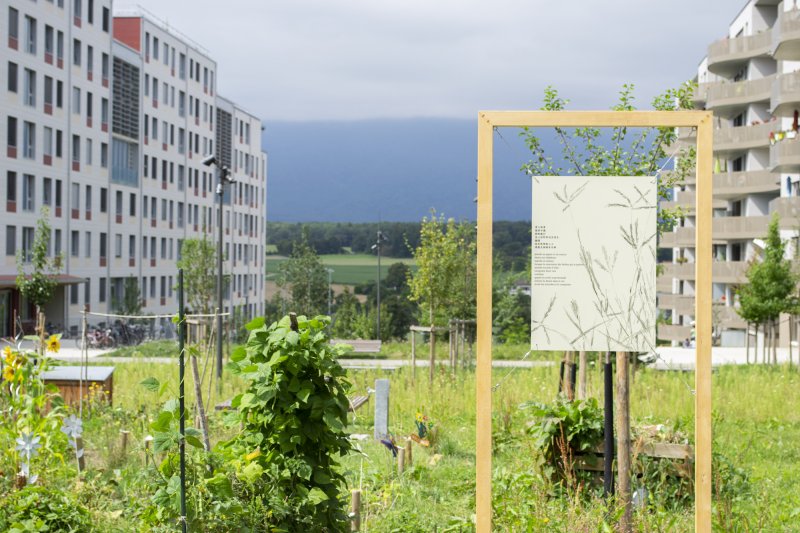 (re)connecting.earth, vue d'exposition Quartier des Vergers, Genève – Mikhail Rojkov