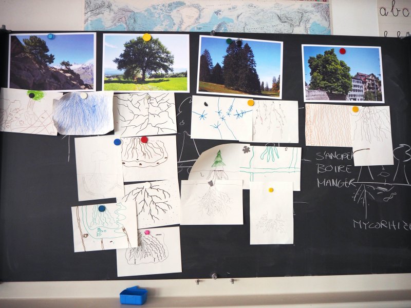 Atelier Duchamp in the garden, classroom session, Geneva, 2023, image : Mathieu Pochon Atelier Duchamp in the garden, classroom session, Geneva, 2023