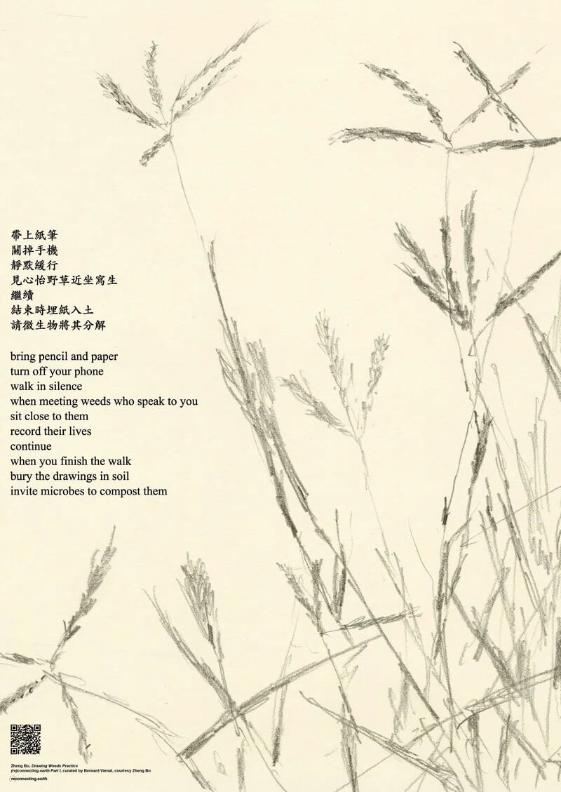 Zheng Bo, Drawing Weeds Practice, Berlin